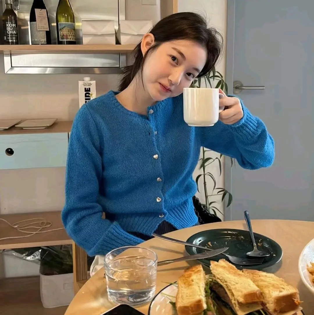 野良与皇女与流浪猫之心